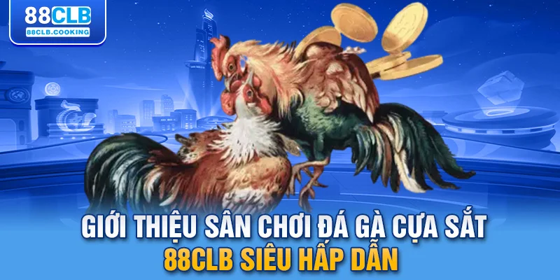 Giới thiệu sân chơi đá gà cựa sắt 88CLB siêu hấp dẫn