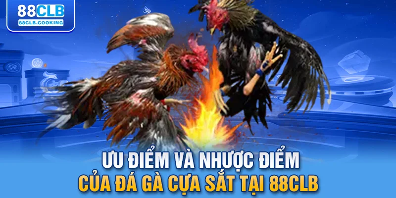 Ưu điểm và nhược điểm của đá gà cựa sắt tại 88CLB