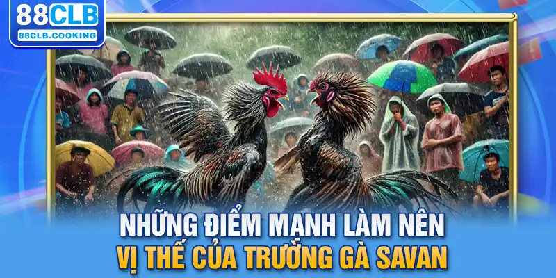 Những điểm mạnh làm nên vị thế của trường gà Savan